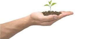 la tua vita è una bella storia