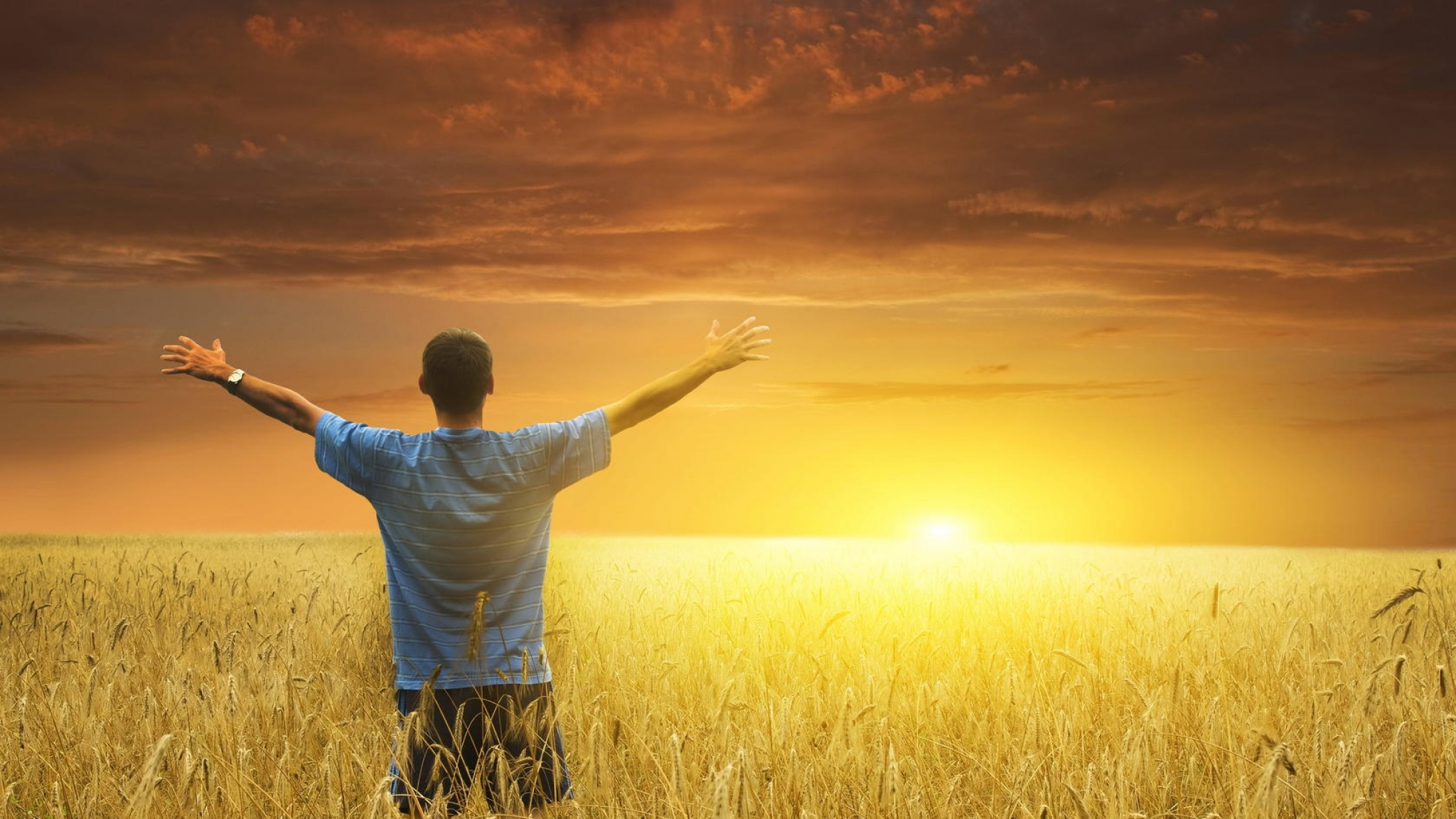 uomo di spalle che guarda il tramonto in un campo di grano