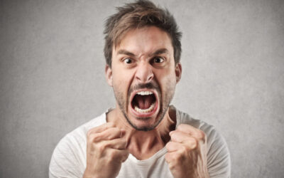 Aggressività è sempre violenza?