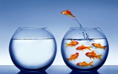 9 motivi per cui Ora è il momento di Cambiare Lavoro