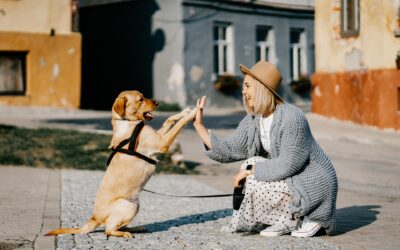 La vicinanza degli animali