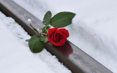 Accontentarsi delle briciole d’amore